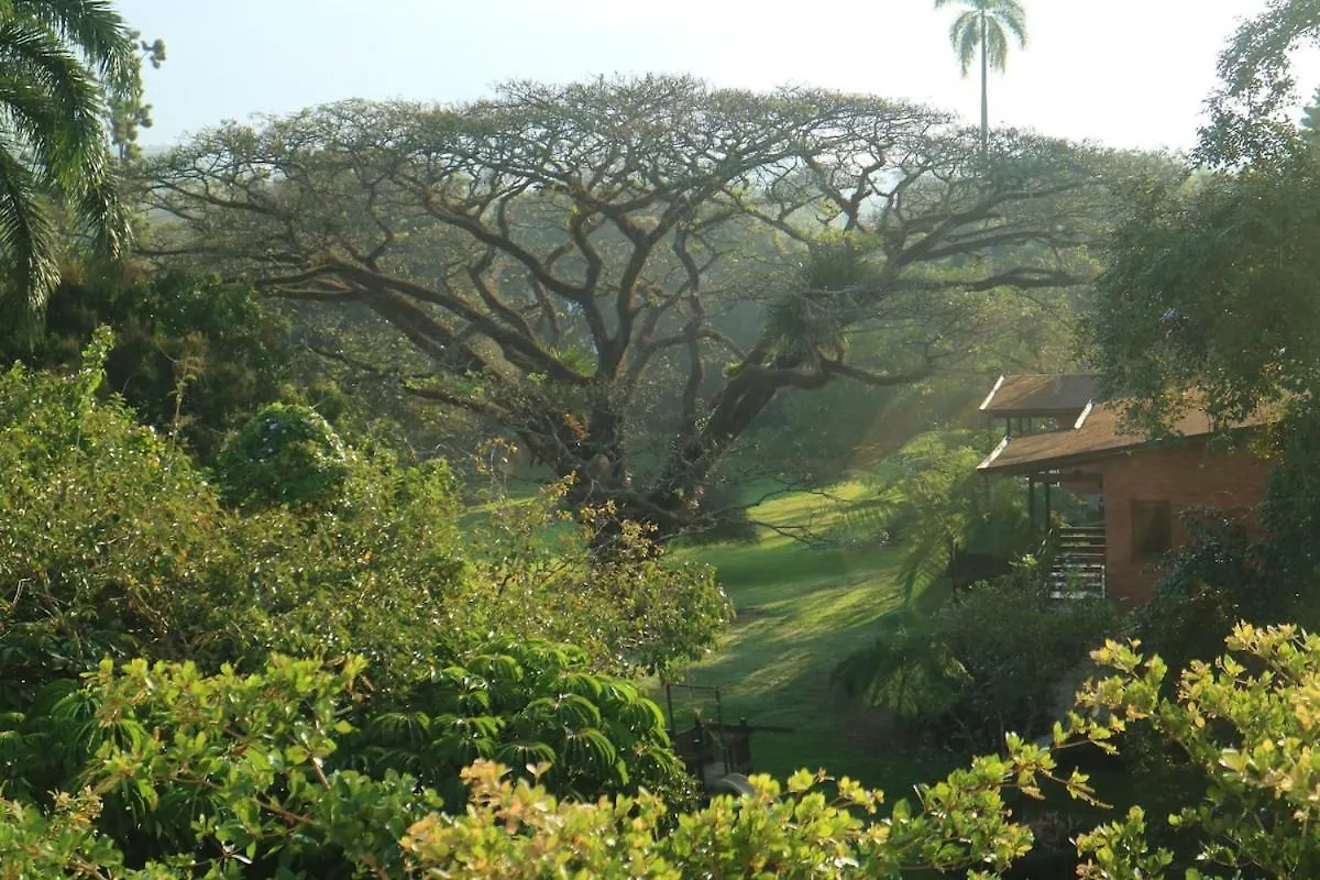 Luxury Apartment Close To Centre Of Jarabacoa