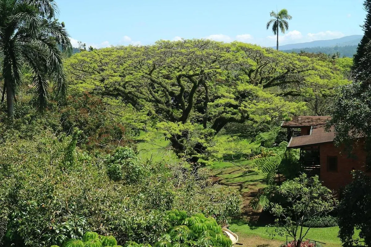 Luxury Apartment Close To Centre Of Jarabacoa República Dominicana